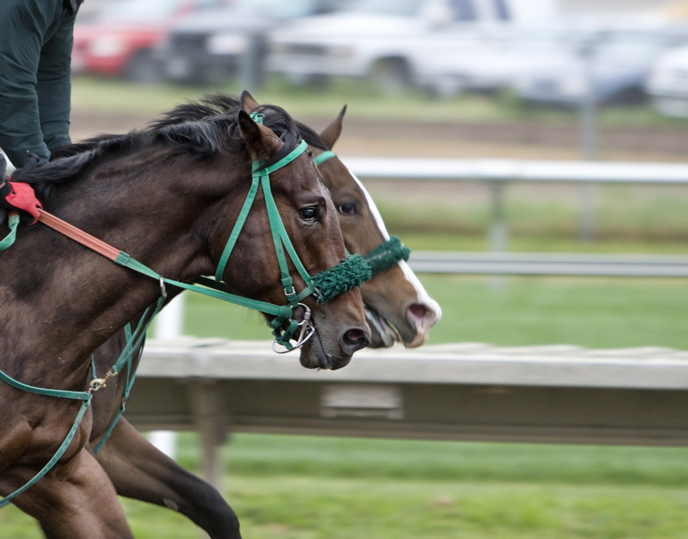 The April Meeting Cheltenham Racecourse Luxury Cotswold Rentals